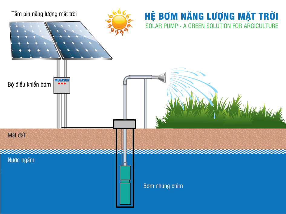 Bơm nước dùng năng lượng mặt trời  – Giải pháp tiết kiệm điện năng hiệu quả